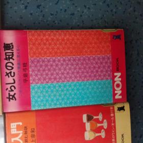 日本原版小说《NON NOVEL》系列小说（11本合售）