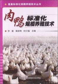 肉鸭标准化规模养殖技术