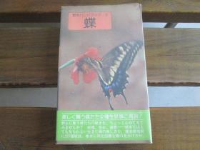 日文原版 蝶 (野外ハンドブック 2)  藤冈知夫 (著), 大屋厚夫