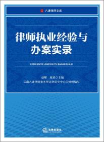 律师执业经验与办案实录