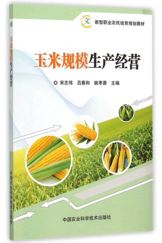 玉米规模生产经营