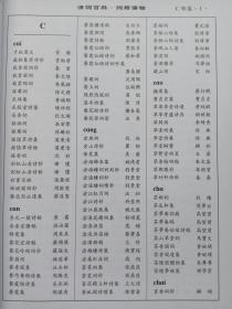 清詞百科-詞人詞集名目拾萃(繁體橫排  上 中 下三冊)清詞百科·清詞貫珠(手稿復印 上下兩冊)