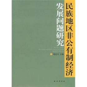 民族地区非公有制经济发展问题研究