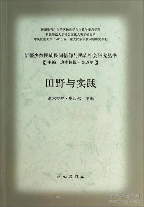 新疆少数民族民间信仰与民族社会研究丛书：田野与实践