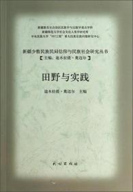 新疆少数民族民间信仰与民族社会研究丛书：田野与实践