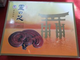 许氏日本灵芝