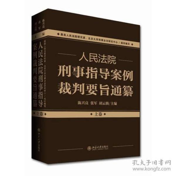 人民法院刑事指导案例裁判要旨通纂（上下卷）