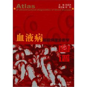 血液病超微病理诊断学图谱