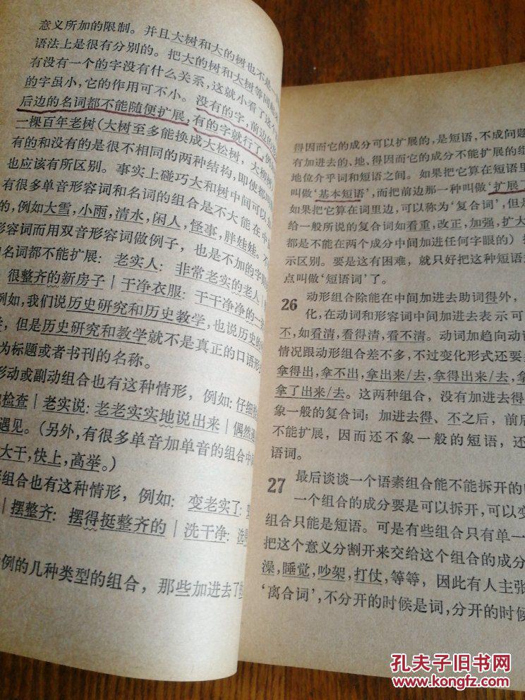 汉语语法分析问题