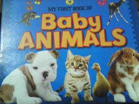 My first book of baby animals 英文原版[Board book]