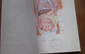 90年代老课本 老版初中生物课本 九年义务教育三年制初级中学教科书 生物【全套3本 93年~99年版 有笔迹】