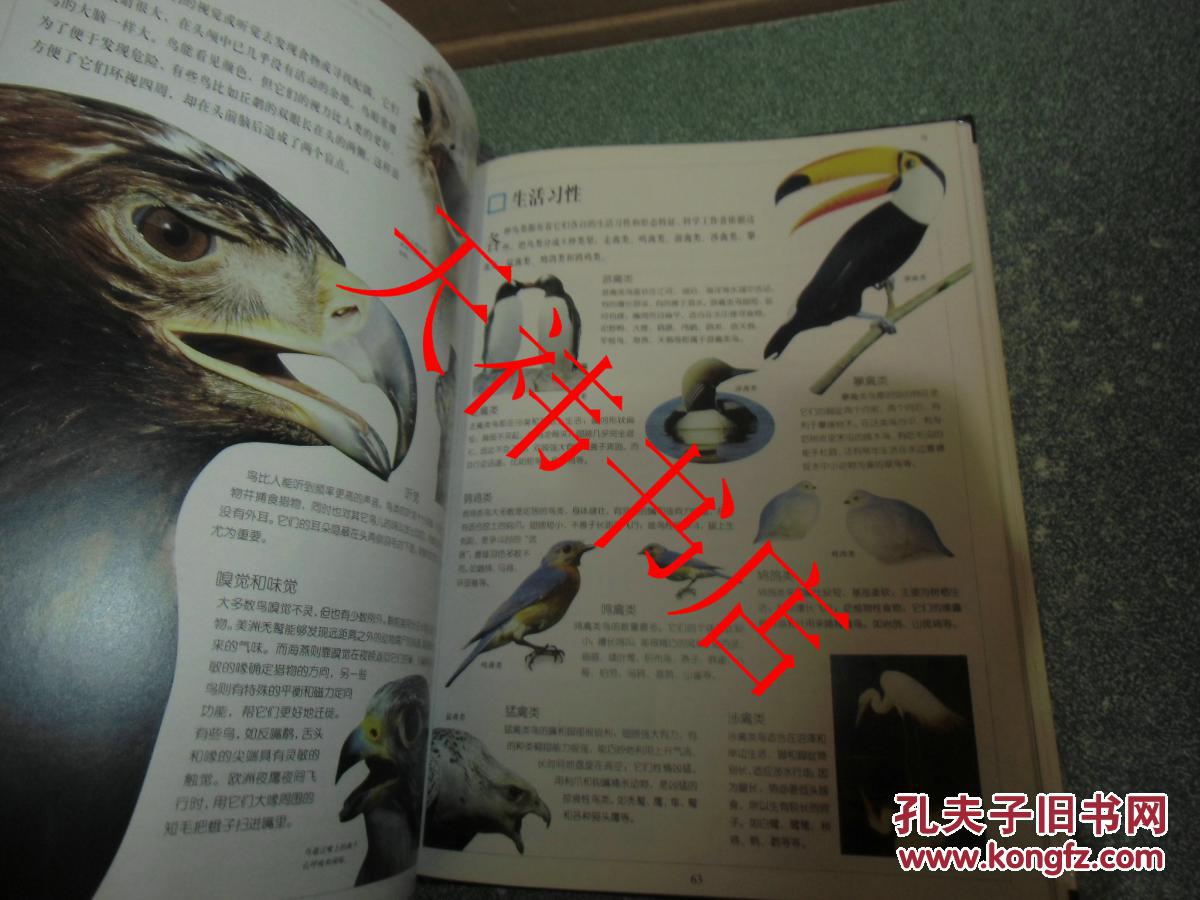 动物世界百科全书 （上卷，低等动物、昆虫、鸟）（大16开 硬精装）