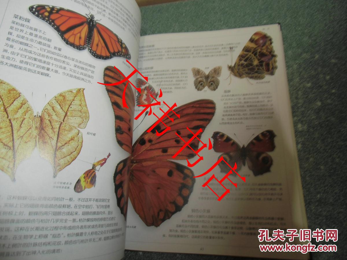 动物世界百科全书 （上卷，低等动物、昆虫、鸟）（大16开 硬精装）
