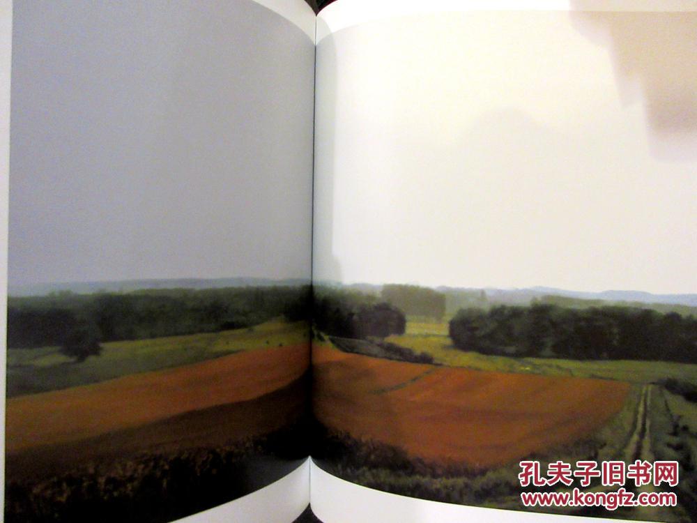 2012年世界当代画坛第一人格哈德 里希特英德法三国作品回顾展精装彩色插图目录 Gerhard Richter: Panorama - Retrospektive