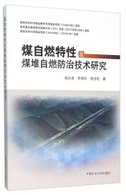 煤自燃特性及煤堆自燃防治技术研究