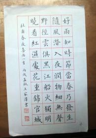 海南王家泽硬笔书法