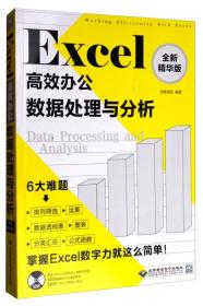 Excel高效办公：数据处理与分析：全新精华版