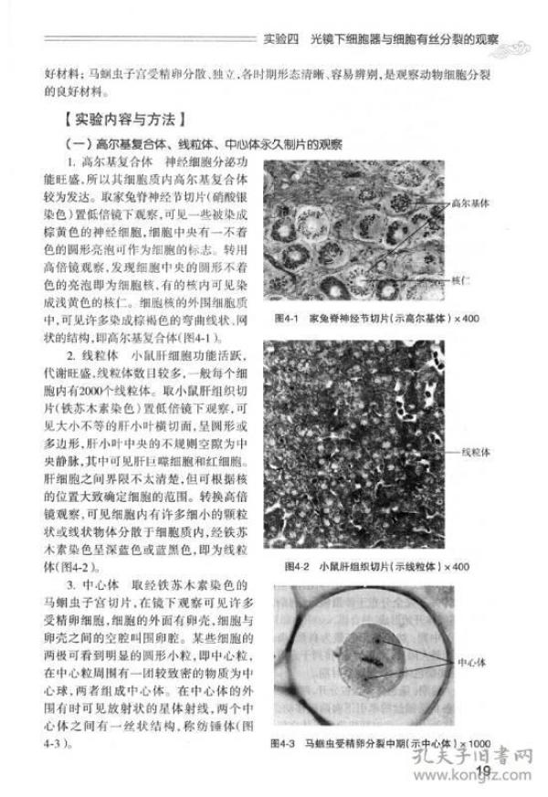 医学生物学实验（第2版 供中医学、针灸推拿学、中西医临床医学、康复治疗学、护理学等专业用）