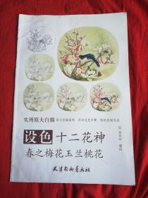 实用原大白描：设色十二花神春之梅花玉兰桃花