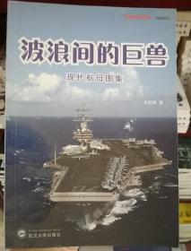 经典战史回眸・兵器系列：波浪间的巨兽――现代航母图集