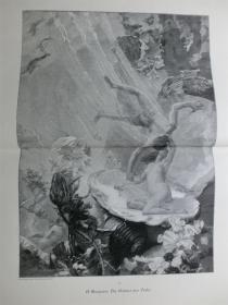 【现货 包邮】1890年巨幅木刻版画《珍珠的诞生》（Die Geburt der Perle）  尺寸约56*41厘米 （货号 M3）