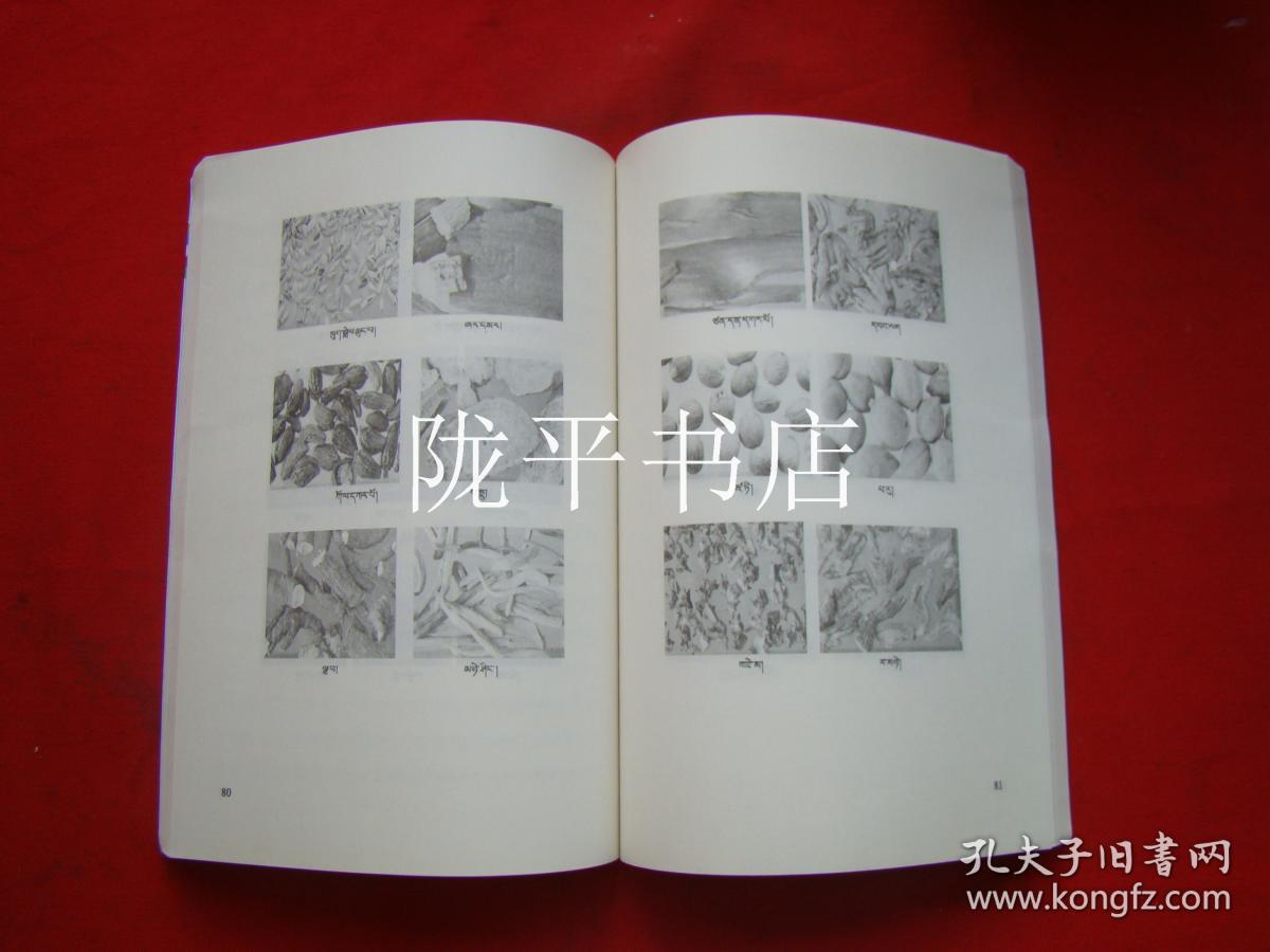 中国人民解放军战史西藏自治区非物质文化遗产国家级代表性传承人口述史 第二册