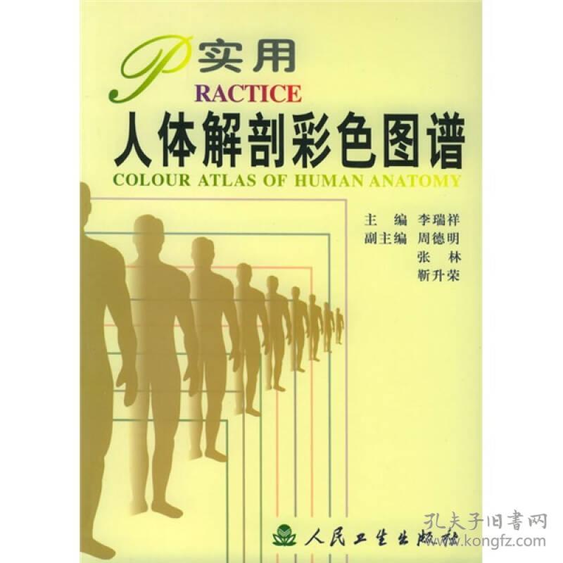 实用人体解剖彩色图谱 李瑞祥 人民卫生出