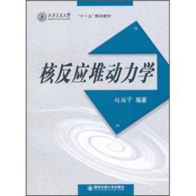 西安交通大学“十一五”规划教材：核反应堆动力学