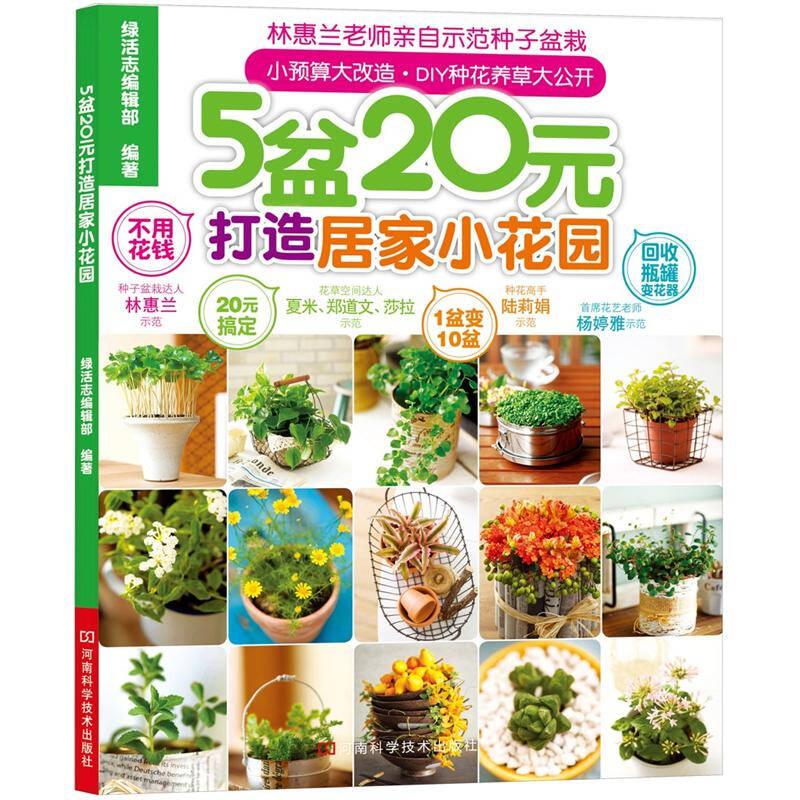5盆20元打造居家小花園