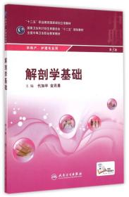 解剖学基础