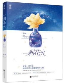 长篇小说：一刹花火