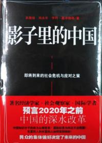 影子里的中国:即将到来的社会危机与应对之策