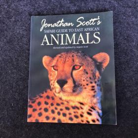 ANIMALS SAFARI GUIDE TO EAST AFRICAN 东非动物野生动物园指南