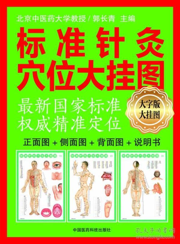 标准针灸穴位大挂图