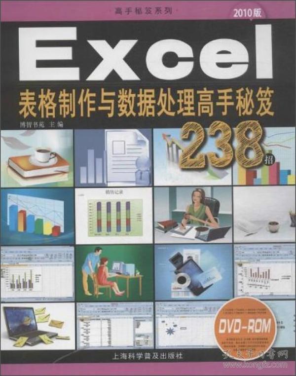 高手秘笈系列：Excel表格制作与数据处理高手秘笈238招（2010版）