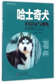 哈士奇犬的赏玩与训练