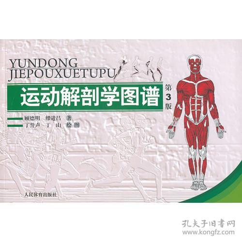 点击查看原图 运动解剖学图谱