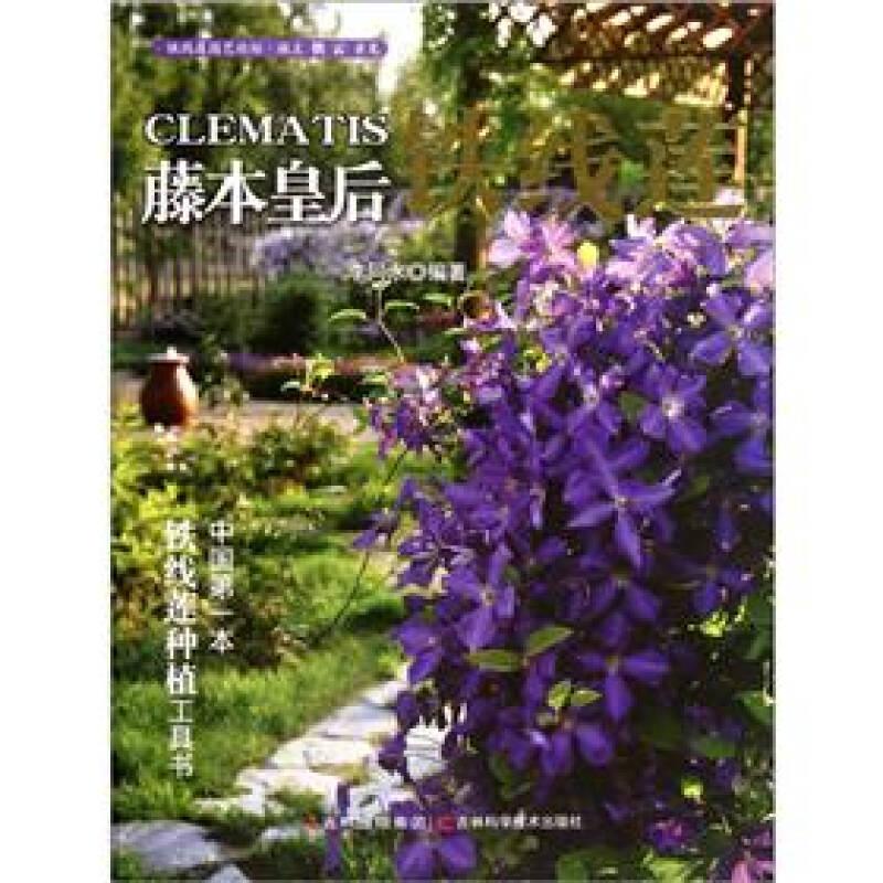藤本皇后鐵線(xiàn)蓮