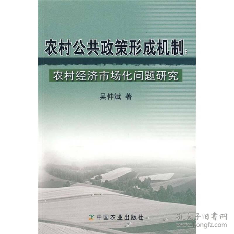 农村公共政策形成机制:农村经济市场化问题研究