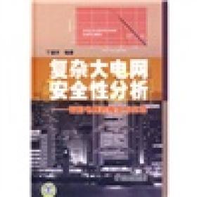 复杂大电网安全性分析:智能电网的概念与实现