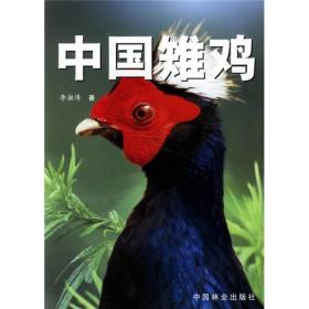 中国雉鸡