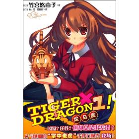 TIGER×DRAGON1!：龙与虎