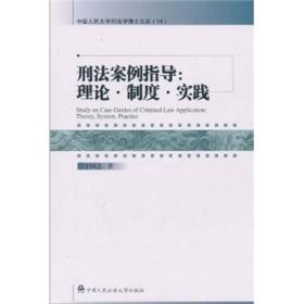 刑法案例指导：理论·制度·实践