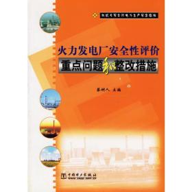 火力发电厂安全性评价重点问题和整改措施