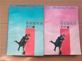 待到黎明到来时上下