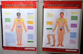 刮痧区位相关疾病治疗挂图正侧面，背面 主编：王敬 北京科学技术出版社