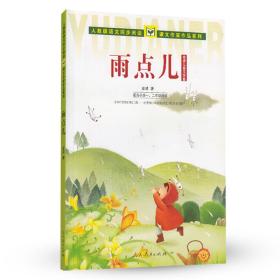 雨点儿-金波儿童文学集-适合小学一.二年级阅读