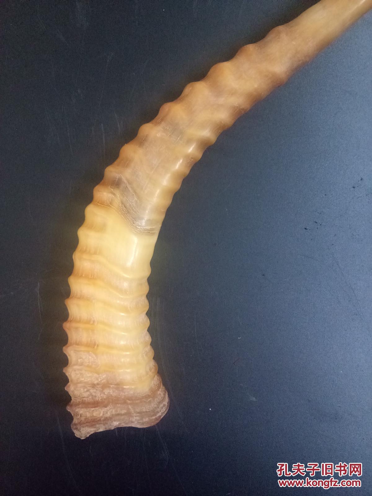 传世清代老羚羊角摆件 拍品编号:30227066