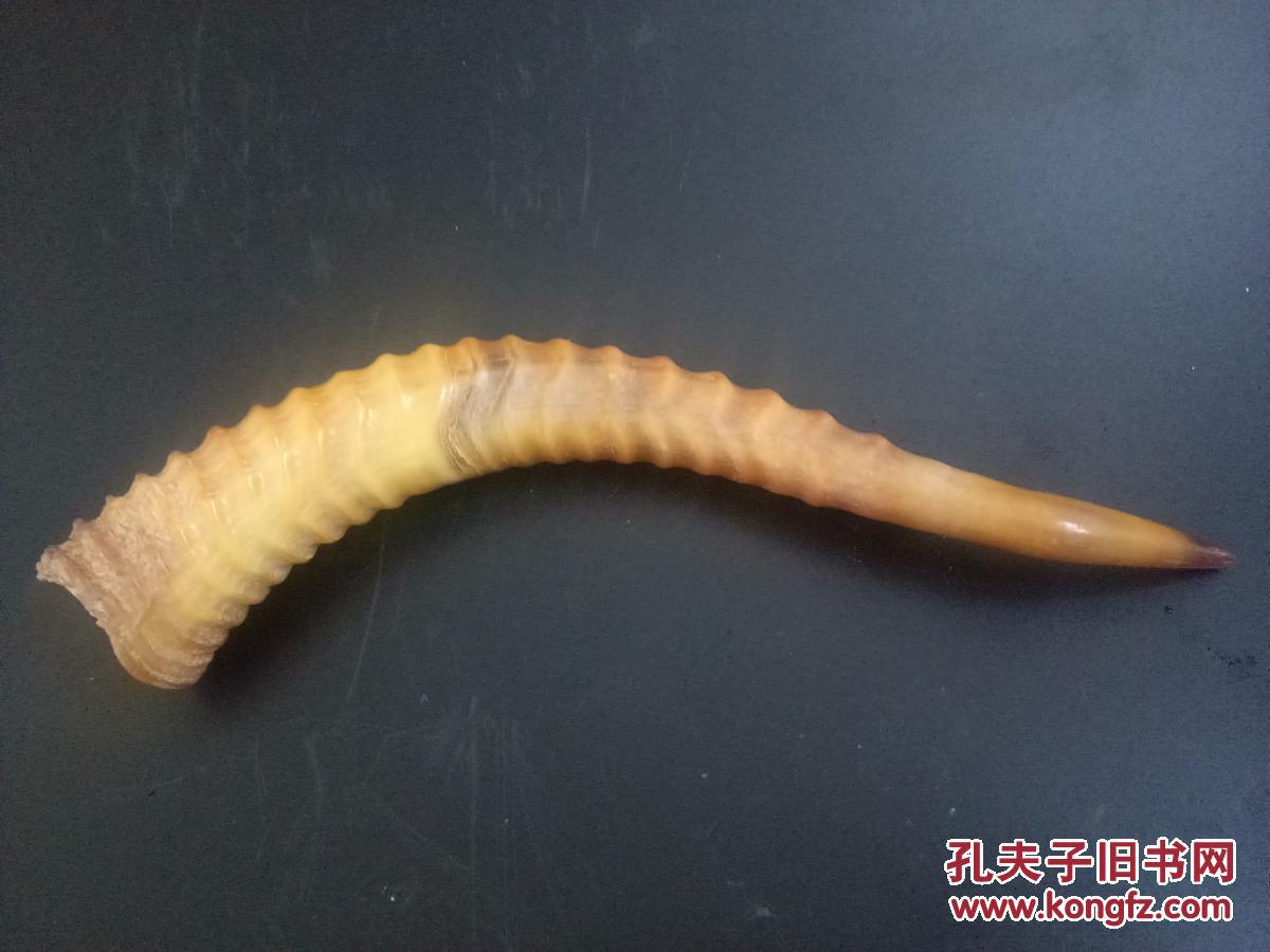 传世清代老羚羊角摆件 拍品编号:30227066