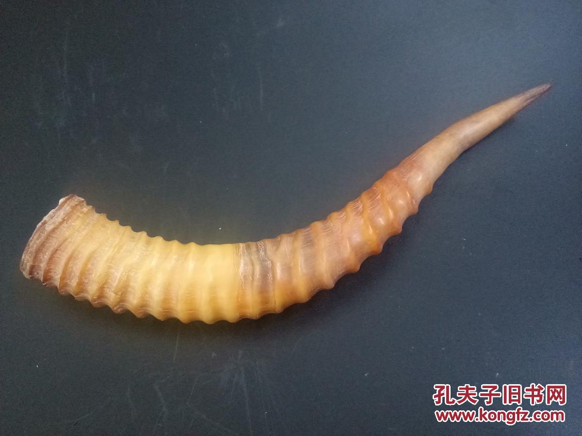 传世清代老羚羊角摆件 拍品编号:30227066